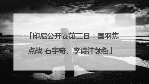 印尼公开赛第三日：国羽焦点战 石宇奇、李诗沣领衔