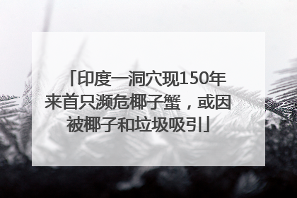 印度一洞穴现150年来首只濒危椰子蟹，或因被椰子和垃圾吸引