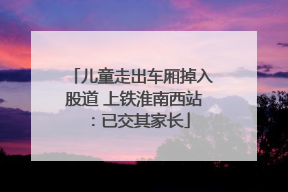 儿童走出车厢掉入股道 上铁淮南西站：已交其家长