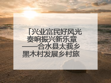 兴业富民好风光 奏响振兴新乐章——合水县太莪乡黑木村发展乡村旅游纪实