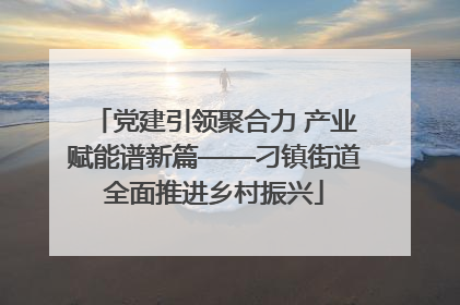 党建引领聚合力 产业赋能谱新篇——刁镇街道全面推进乡村振兴