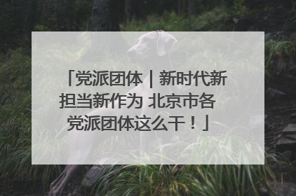 党派团体｜新时代新担当新作为 北京市各党派团体这么干！