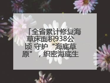 全省累计修复海草床面积938公顷 守护“海底草原”，织密海底生态“一张网”