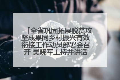 全省巩固拓展脱贫攻坚成果同乡村振兴有效衔接工作动员部署会召开 吴晓军主持并讲话 罗东川作安排部署