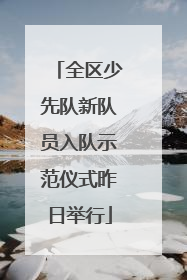 全区少先队新队员入队示范仪式昨日举行