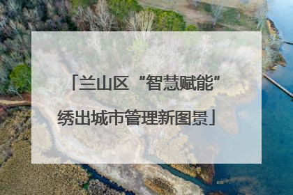 兰山区“智慧赋能”绣出城市管理新图景