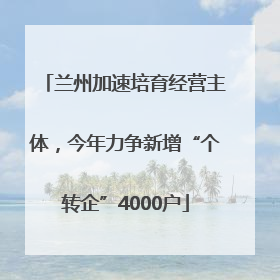 兰州加速培育经营主体，今年力争新增“个转企”4000户