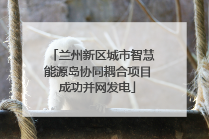兰州新区城市智慧能源岛协同耦合项目成功并网发电
