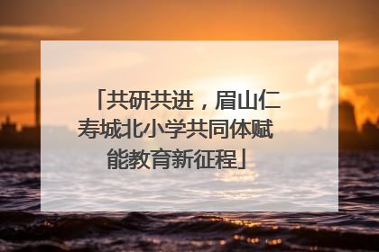 共研共进，眉山仁寿城北小学共同体赋能教育新征程