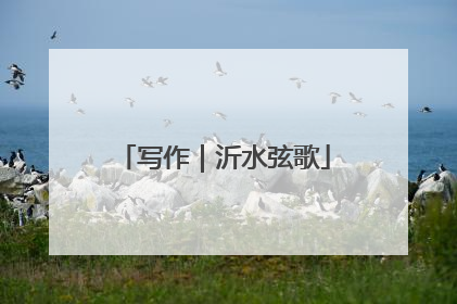 写作｜沂水弦歌