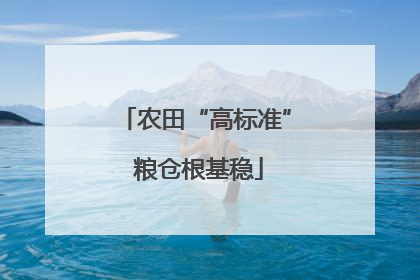农田“高标准” 粮仓根基稳