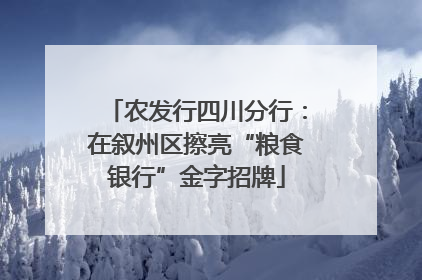 农发行四川分行：在叙州区擦亮“粮食银行”金字招牌