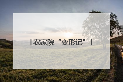 农家院“变形记”