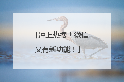冲上热搜！微信又有新功能！