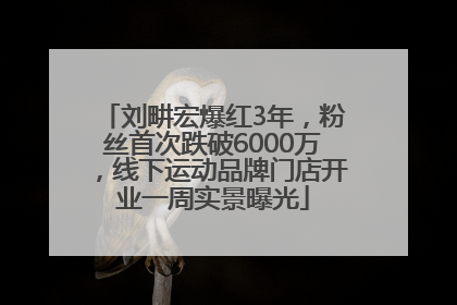 刘畊宏爆红3年，粉丝首次跌破6000万，线下运动品牌门店开业一周实景曝光