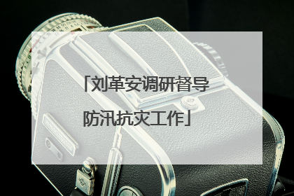 刘革安调研督导防汛抗灾工作