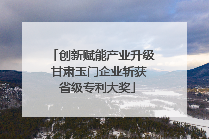 创新赋能产业升级 甘肃玉门企业斩获省级专利大奖