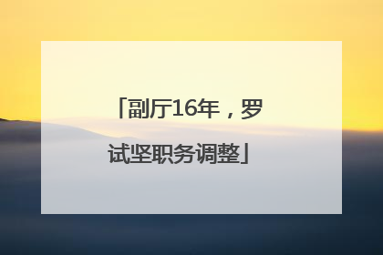 副厅16年，罗试坚职务调整