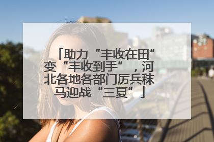 助力“丰收在田”变“丰收到手”，河北各地各部门厉兵秣马迎战“三夏”