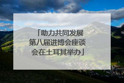 助力共同发展 第八届进博会座谈会在土耳其举办