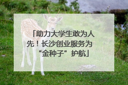 助力大学生敢为人先！长沙创业服务为“金种子”护航