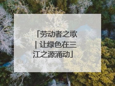 劳动者之歌｜让绿色在三江之源涌动