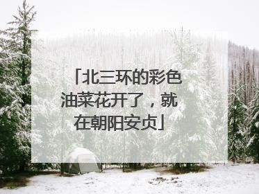 北三环的彩色油菜花开了，就在朝阳安贞
