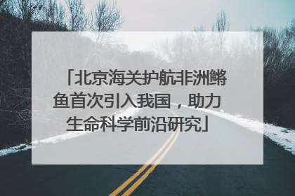 北京海关护航非洲鳉鱼首次引入我国，助力生命科学前沿研究