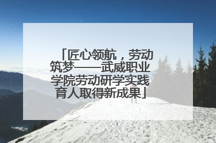 匠心领航，劳动筑梦——武威职业学院劳动研学实践育人取得新成果