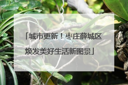 城市更新！枣庄薛城区焕发美好生活新图景