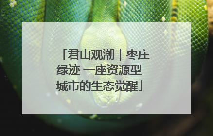 君山观潮｜枣庄绿迹 一座资源型城市的生态觉醒