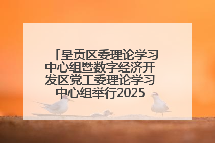 呈贡区委理论学习中心组暨数字经济开发区党工委理论学习中心组举行2025年第七次学习会议