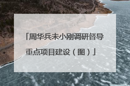 周华兵未小刚调研督导重点项目建设（图）