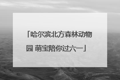 哈尔滨北方森林动物园 萌宝陪你过六一