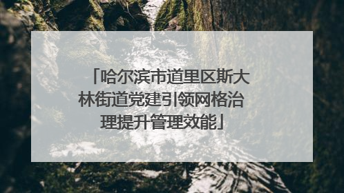 哈尔滨市道里区斯大林街道党建引领网格治理提升管理效能