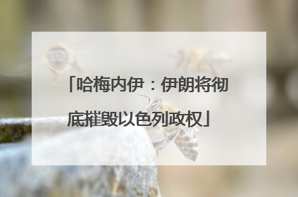 哈梅内伊：伊朗将彻底摧毁以色列政权