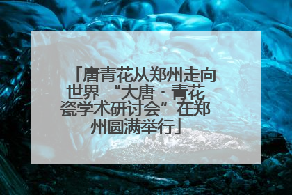 唐青花从郑州走向世界 “大唐・青花瓷学术研讨会”在郑州圆满举行