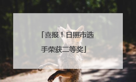 喜报！日照市选手荣获二等奖