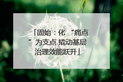 固始：化 “痛点”为支点 撬动基层治理效能跃升