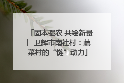 固本强农 共绘新景 ︳卫辉市南社村：蔬菜村的“链”动力