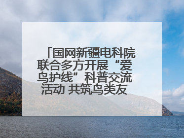 国网新疆电科院联合多方开展“爱鸟护线”科普交流活动 共筑鸟类友好城市