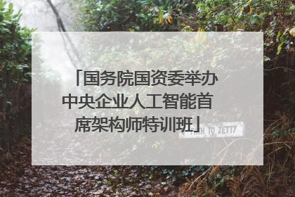 国务院国资委举办中央企业人工智能首席架构师特训班