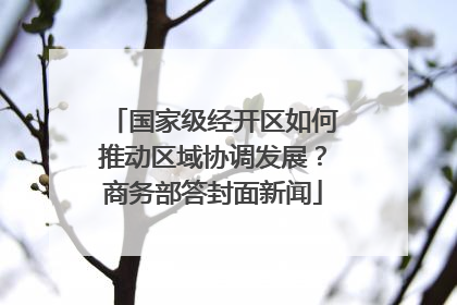 国家级经开区如何推动区域协调发展？商务部答封面新闻