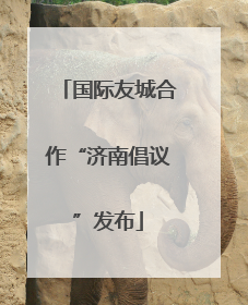 国际友城合作“济南倡议”发布