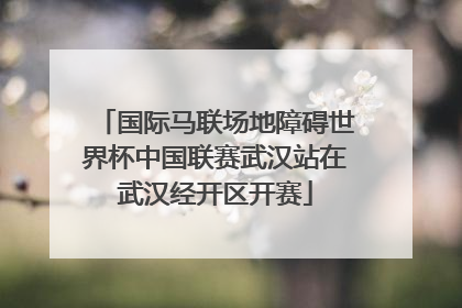 国际马联场地障碍世界杯中国联赛武汉站在武汉经开区开赛