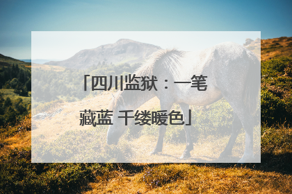四川监狱：一笔藏蓝 千缕暖色