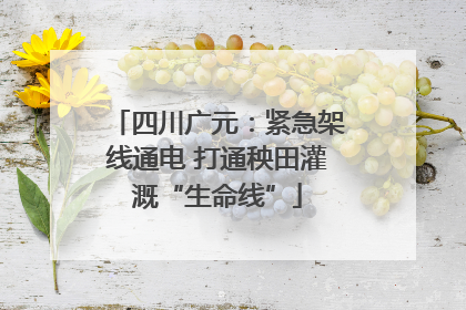 四川广元：紧急架线通电 打通秧田灌溉“生命线”
