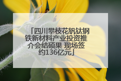 四川攀枝花钒钛钢铁新材料产业投资推介会结硕果 现场签约136亿元