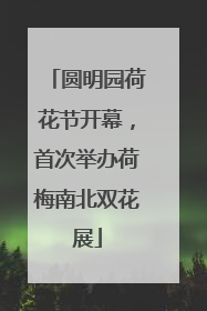 圆明园荷花节开幕，首次举办荷梅南北双花展