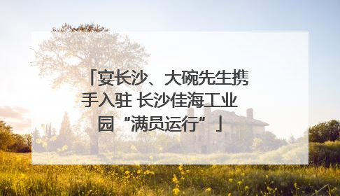 宴长沙、大碗先生携手入驻 长沙佳海工业园“满员运行”